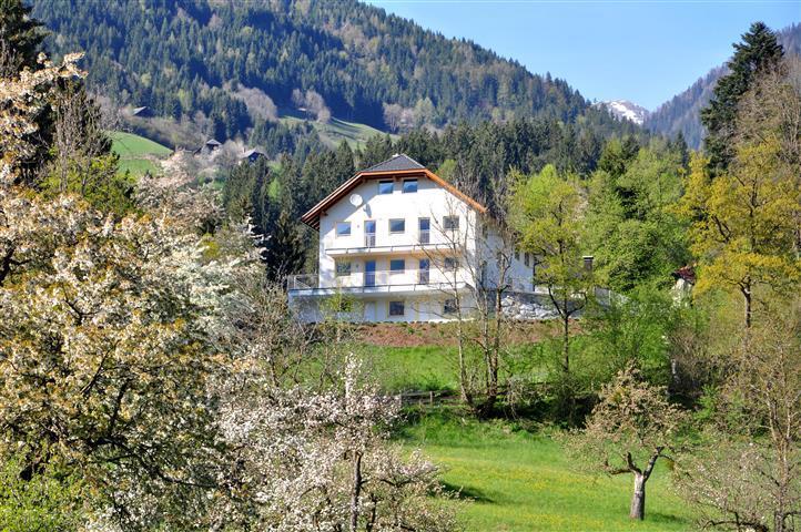 Haus Pflaum Appartement Dellach im Drautal Buitenkant foto